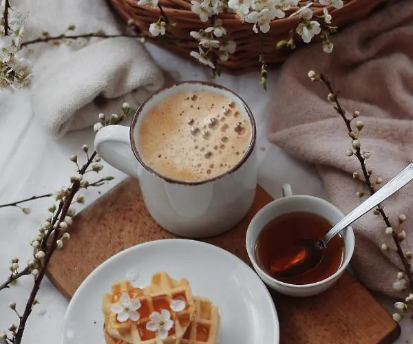 Mea Appartement Shkodër